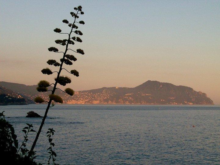 Hotel Bel Sito Genova Eksteriør billede